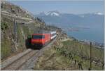 The SBB Re 460 089-6  Freiamt  with his IR 30121 the way from Geneva-Airport to Brig Maurice on the vineyarde line between Chexbres and Vevey (works on the line via Cully).