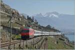 The SBB Re 460 103-5  Heitersberg  with his IR 30827 on the way from Geneva-Airport to St Maurice on the vineyarde line between Chexbres and Vevey (works on the line via Cully).
