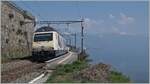 175 years switzerland railway - and here the Re 460 019 for the Jubilee. The SBB Re 460 019 with th IR 1720 by St Saphorin. 

25. März 2022