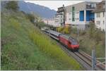 A SBB Re 460 with his IR is arriving at Montreux.