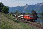 The SBB Re 460 003-5 wiht his IR 90 on the way to Genevea Airport near Villeneuve.