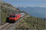 A SBB Re 460 with his IR90 on the way to Brig by Chexbres (work on the lake-line).