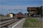 A SBB Re 460 with his IR 90 on the way to Brig in Roches VD.