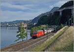 A SBB Re 460 with an IR90 by the Castle of Chillon.