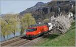 The SBB Re 460 073-0  Monte Generoso  with a IR 90 Geneva Airport to Brig near Villeneuve. 

21.03.2021