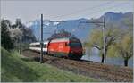 The SBB Re 460 055-4 with a IR 90 from Brig to Geneva Airport by Villeneuve.
