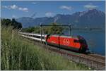 A SBB Re 460 with an IR 90 on the way to Geneva near Villeneuve.