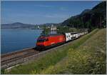 A SBB Re 460 with an IR 90 on the way to Brig by the Castle of Chhillon. 

21.05.2022