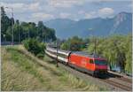 On the end of this IR 90 by the castle of Chillon an other SBB Re 460.