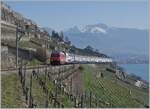 Due to construction work on the Vevey-Lausanne line, trains were rerouted via the  Train des Vignes  line. In the picture an SBB Re 460 with its IR above St-Saphorin in the vineyards.

March 20, 2022
