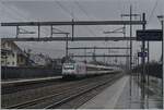 The latest SBB advertising locomotive: the Re 460 061 advertises the elevator manufacturer Schindler, which is celebrating its 150th anniversary this year.

Feb 22, 2024