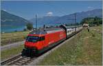 An SBB Re 460 is on an IC near Faulensee on the way towards Spiez.
