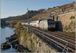 Bei der letzten Tageslichtfahrt fährt die SBB Re 460 037  Lattesso  mit ihrem IR 90 bei Rivaz in Richtung Brig.