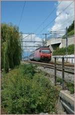 SBB Re 460 115-9 with IR by Rivaz on the way to Brig.