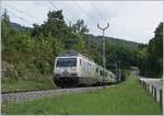 The BLS Re  465 008 with a RE from La Chaux-de-Fonds to Bern by Chambrelien. 

03.09.2020