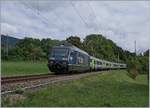 The BLS Re 465 006 wiht his RE from La Chaux-de-Fonds to Bern by Les  Geneveys-sur-Coffrane. 

03.09.2020