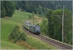 The BLS Re 465 002 wiht his RE on the way to La Chaux-de Fond by Les-Hauts-Geneveys. 12.08.2020