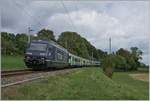 The BLS Re 465 005 with his EW III RE on the way form La Chaux de Fond to Bern near Les Hausts Geneveys.