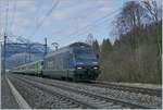 The BLS Re 465 006-5 wiht a local train from Frutigen to Spiez by Mülenen.

14.04.2021