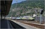 The BLS Re 465 001 and a BLS Re 475 wiht a Cargo Train in Brig.

21.07.2021