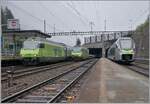 In Goppenstein, two BLS Re 465 locomotives (Re 465 002 and 015) are operating with car shuttle trains, while on the right side of the image, the BLS RABe 528 119 is leaving Goppenstein towards Brig.

September 12, 2024