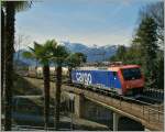 SBB Re 474 015 with a Cargo train by Magadino.