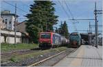 The SBB Re 474 003 and a Trenord Ale 711 in Gallarate.