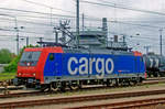 On 7 June 2009 SBB 482 040 takes a break at Ingolstadt.