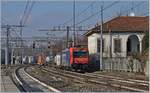 The SBB Re 484 013 is arriving with a Cargo Train at Gallarte.
16.01.2018