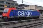SBB Cargo 484 019 steht am 15. Mai 2026 in Rotkreuz abgestellt.