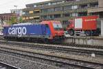 SBB Cargo 484 019 stands parked at Rotkreuz on 15 May 2026.