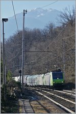 BLS Re 485 with a RoLo on the way to Freiburg i.B. by Preglia.
07.01.2017