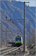 BLS Re 485 002-0 and an other one by Varzo. 11.03.2017