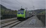 BLS Re 485 005 wiht a RoLa in Reichenbach im Kandertal.