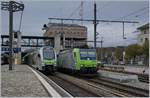 BLS RABe 515 013 and Re 485 005 in Spiez.