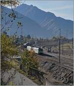 The BLS Re 485 014 and an other one with a Cargo Train in Domosossola. 

28.10.2021