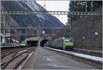 The BLS Re 485 (and a BLS Vectron) with a Cargo Service on the way to Spiez in Goppensstein.
On the left in the backgroud, the BLS RE 465 002 wiht his AT1 to Kandersteg.  

03.01.2024