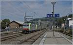 BLS Re 486 508 and an other one with a Cargo Train on the way to Basel in Sissach.