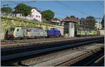 The BLS Re 486 503, the 90 80 1002 102- 4 D-ALS and BLS Re 465 and Re 425 in Spiez.