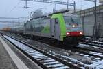 BLS 486 504 takes a fresh break at Spiez on 30 December 2024.