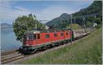 The SBB Re 6/6 11085 (Re 620 085-1)  Sulgen  wiht a Cargo train near Villeneuve.