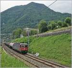 The SBB Re 6/6 11675 (Re 620 075-2)  Gelterkinden  with a Cargo Train by Villeneuve.