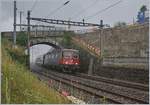 The SBB Re 6/6 11634 (Re 620 034-9) Aarburg Ofrtingen in Cully.