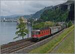 The SBB Re 6/6 11685 (Re 620 085-1)  Sulgen  with a Cargo train near the Castle of Chillon. 

08.06.2021