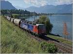 The SBB Re 6/6 11623 (Re 620 023-2)  Rupperswil  with Cargo Service near Villeneuve.