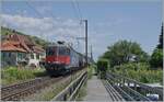 The SBB Re 6/6 11605 (Re 620 005-9)  Uster  with a Cargo train by Ligerz. 

05.06.2023t 