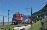 The SBB Re 6/6 11661 (Re 620 061-2)  Gampel-Steg  with a Crgo train near Villeneuve.