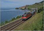 The red SBB Re 6/6 11630 (Re 620 030-7)  Herzogenbuchsee  is hauling a tank car block train between Rivaz and St-Saphorin on its way to St-Triphon. 

May 19, 2025
