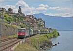 The SBB Re 6/6 11679 (Re 620 079-4)  Cadenazzo  with his Novelis Cargo train by St-Saphorin on the way from Sierre to Göttingen. 

19.05.2025