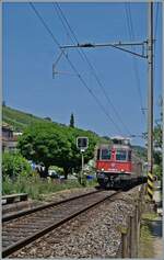 Near Ligerz, on the last remaining short section of single-track railway at the Jurasüdfussstrecke 210/southern foot of the Jura Mountains 210, is the SBB Re 6/6 11664 (Re 620 064-6)  Köniz  with a cargo train on the way to Cornaux.

19.06.2025